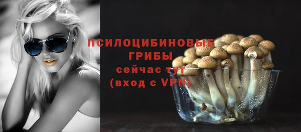 марки nbome Ельня