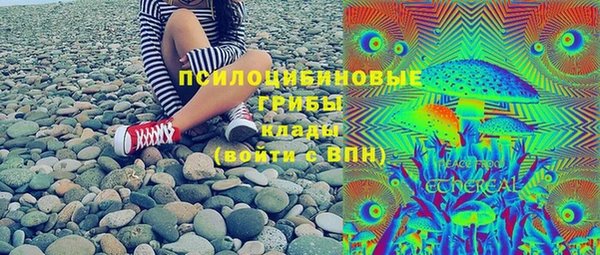 марки nbome Ельня