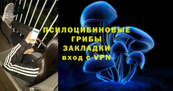 тгк Елабуга
