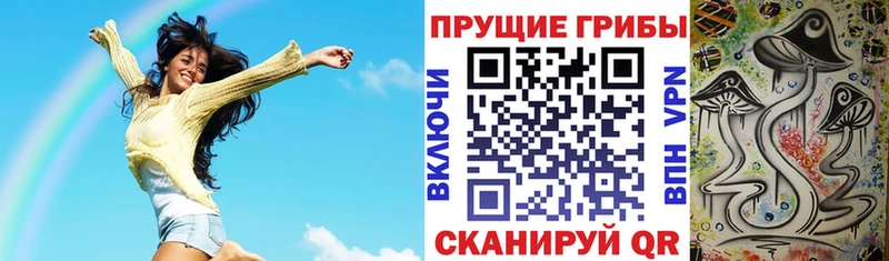 даркнет сайт  Евпатория  Галлюциногенные грибы мицелий 